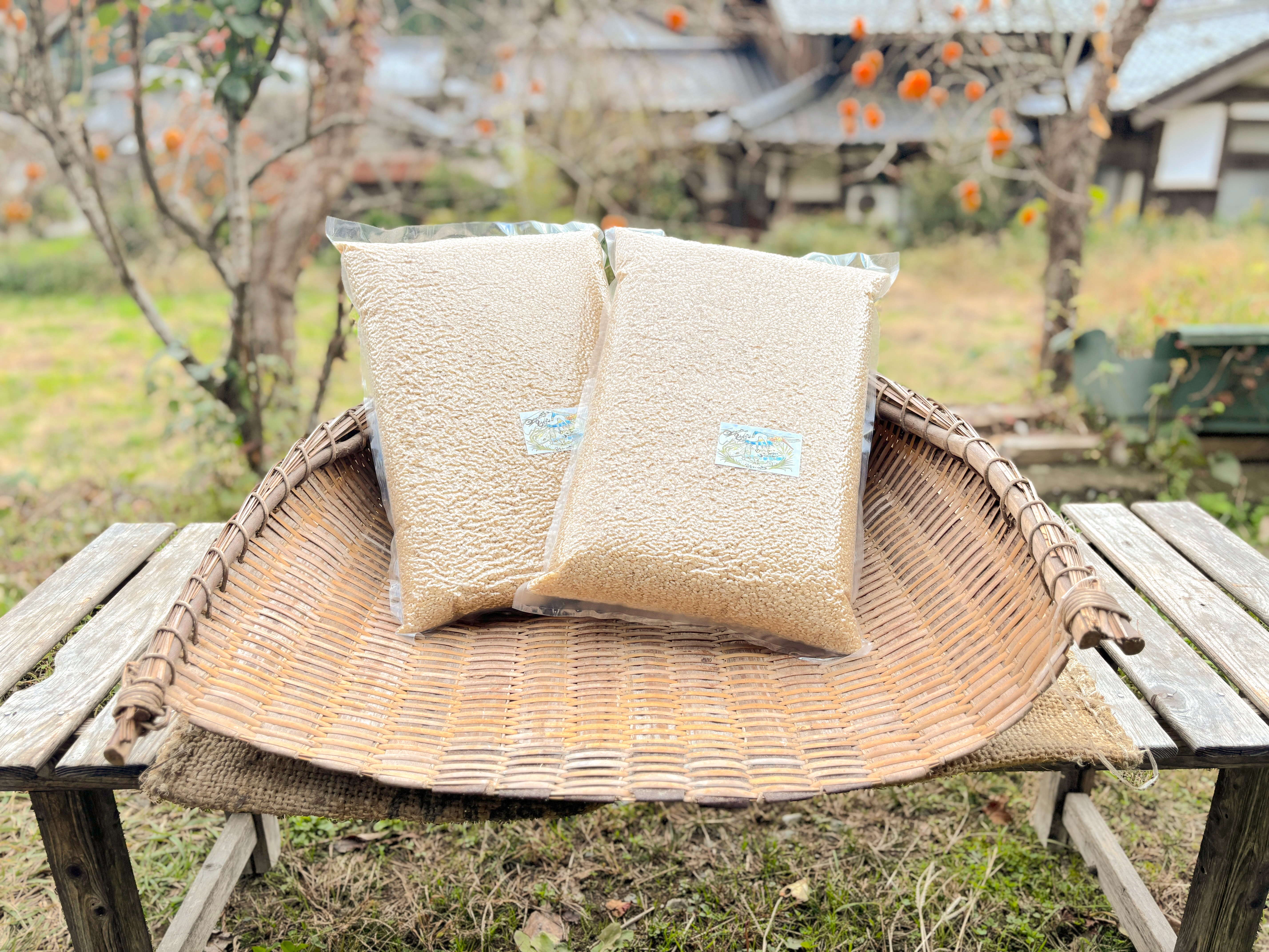 ひびき　保志さんのお米5kg×2個セット（玄米／福井県産）