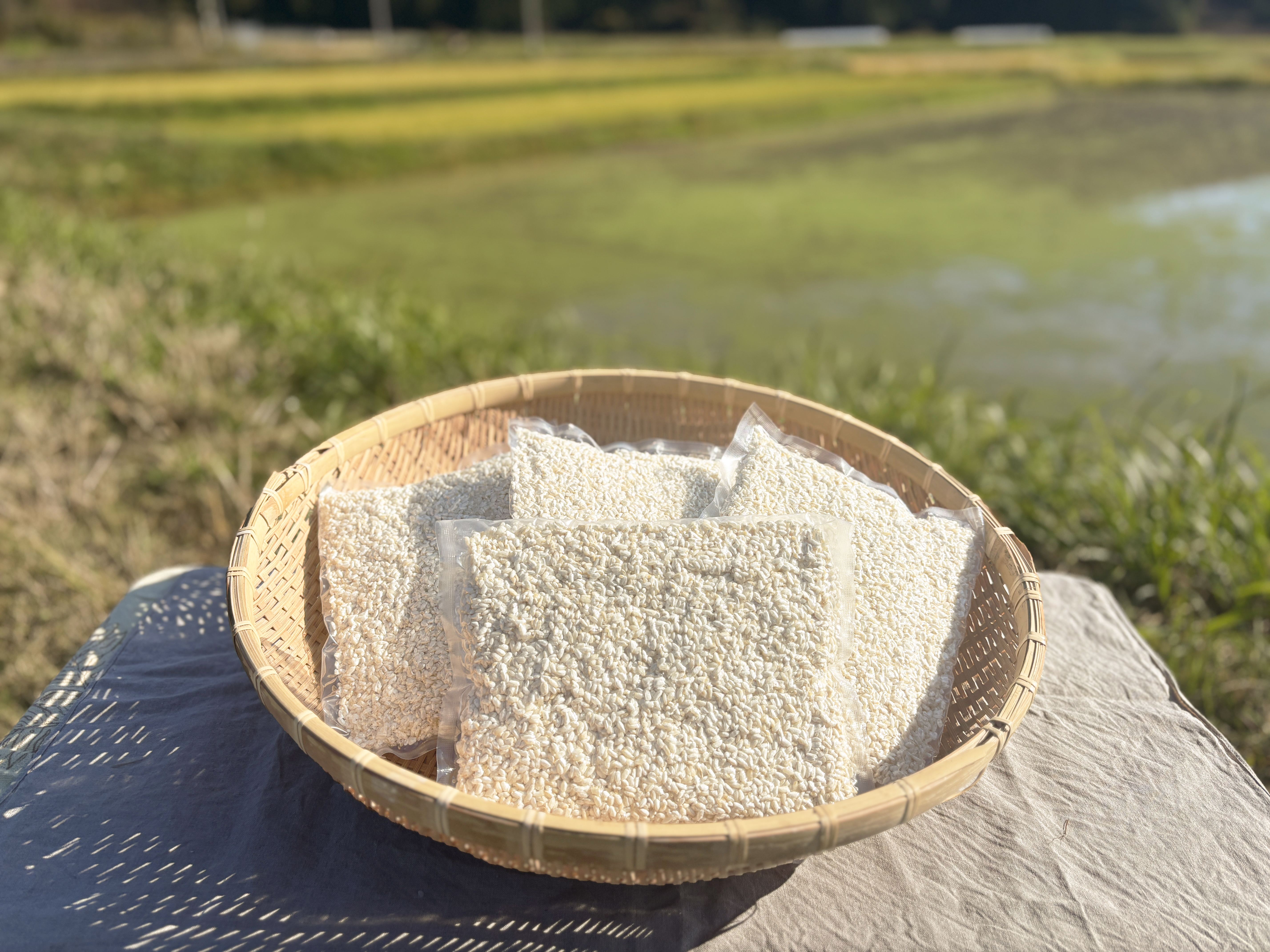 ゆきさんの米糀500g×4個セット（分搗き糀／福井県産）